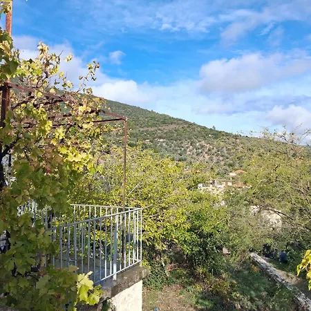 Πλατανα Αστρους Αρκαδίας Χωριατικο Σπίτι Για Φυση Και Ηρεμία Tatil Evi *