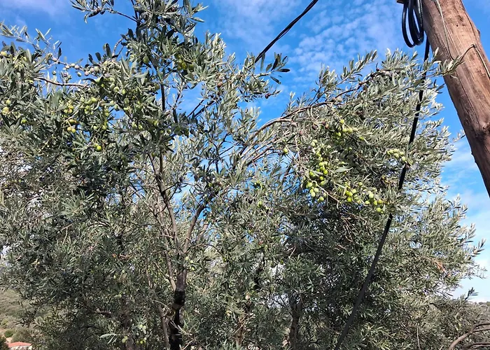 Hébergement de vacances Πλατανα Αστρους Αρκαδίας Χωριατικο Σπίτι Για Φυση Και Ηρεμία *